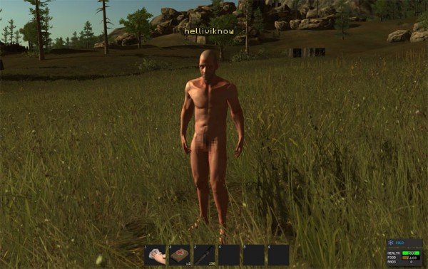 Игроки в Rust меряются размерами аппарата. - Изображение 1 Игроки в Rust меряются размерами аппарата. - Изображение 1