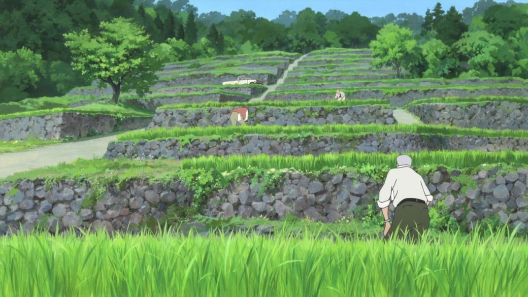 The Wolf Children Ame and Yuki - Изображение 7 The Wolf Children Ame and Yuki - Изображение 7