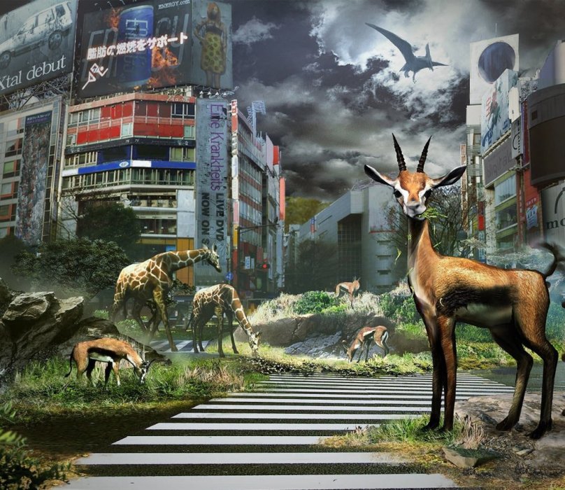 Рецензия на Tokyo Jungle. Обзор игры - Изображение 1 Рецензия на Tokyo Jungle. Обзор игры - Изображение 1
