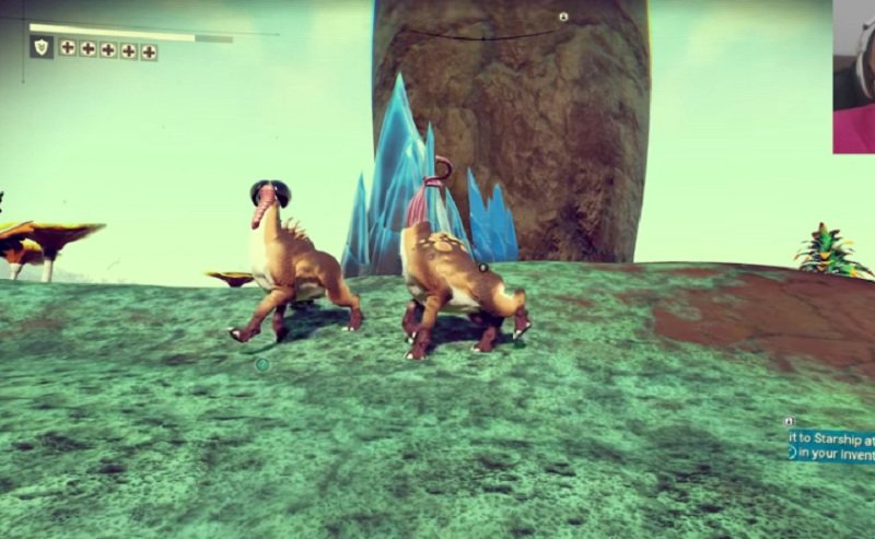 Почему в No Man's Sky все похоже на члены?. - Изображение 4 Почему в No Man's Sky все похоже на члены?. - Изображение 4