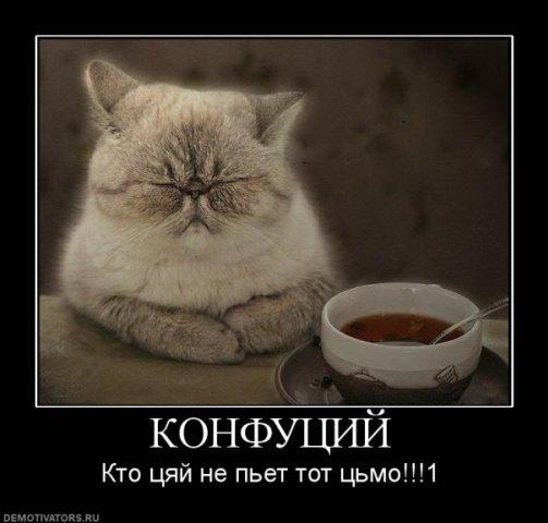 Он пьет чай - Изображение 8 Он пьет чай - Изображение 8