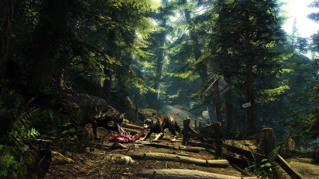 E3: Авторы Two Worlds 2 делают игру в жанре ужасов - Изображение 1 E3: Авторы Two Worlds 2 делают игру в жанре ужасов - Изображение 1