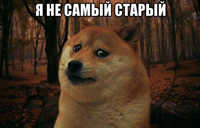 Старые мемы возвращаются: в Facebook собрали архив «махровых баянов» - Изображение 1 Старые мемы возвращаются: в Facebook собрали архив «махровых баянов» - Изображение 1