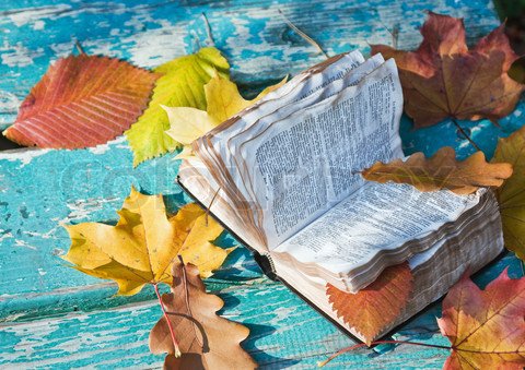 Новинки книжного рынка за последние две недели № V - Изображение 2 Новинки книжного рынка за последние две недели № V - Изображение 2