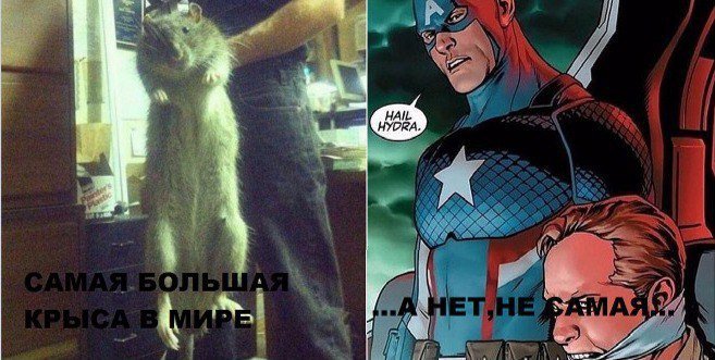 Интернет взбешен тем, что Капитан Америка оказался нацистом - Изображение 12 Интернет взбешен тем, что Капитан Америка оказался нацистом - Изображение 12
