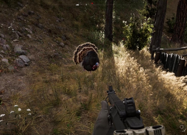 Индюки в Far Cry 5 оказались слишком опасными! Будьте осторожны!. - Изображение 1